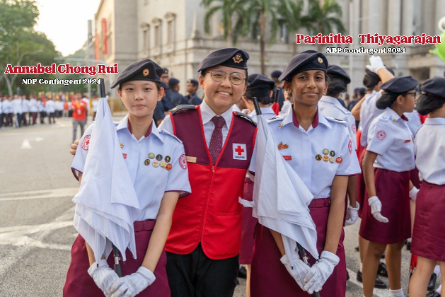 National Day Parade Representation (National Level)