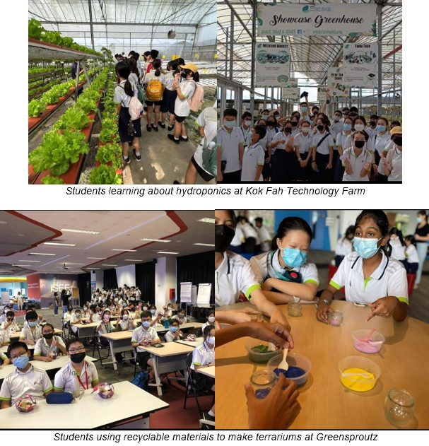 Students visit a hydroponic farm and participate in a terrarium-making activity using colorful recyclable materials.
