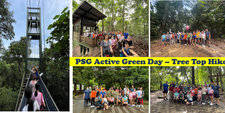 Groups of people posing in a forest during a PSG Active Green Day Tree Top Hike event.