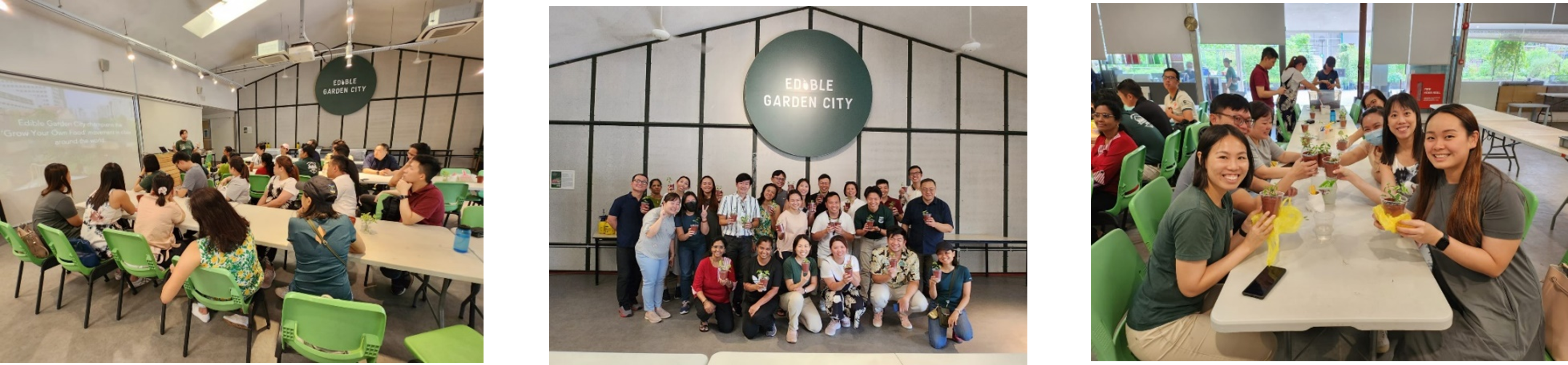 Three photos of a workshop: people seated at tables, group photo under Edible Garden City sign, toasting plants.
