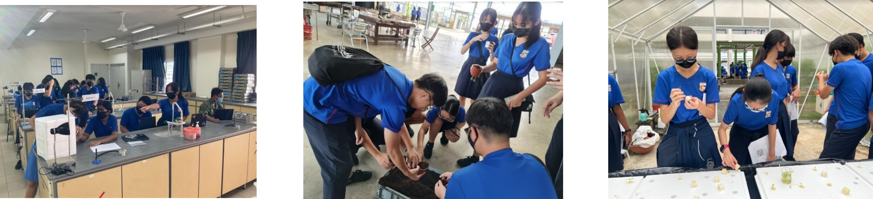 Students in blue uniforms and masks conduct science activities in a lab, workshop, and greenhouse setting.