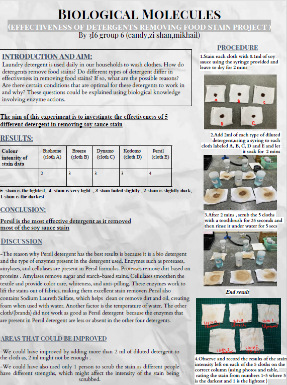Science poster about detergent effectiveness on soy sauce stains, showing cloth samples, a results table, and written sections.