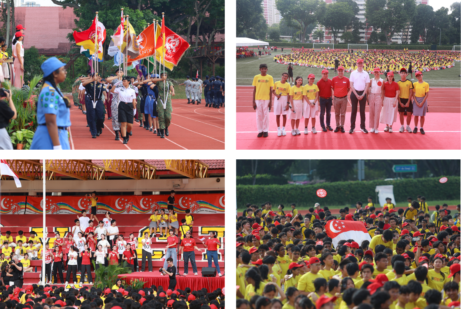 collage for VCA