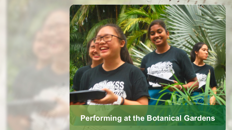 Smiling band members wearing black band t-shirts walking through tropical foliage at the Botanical Gardens.