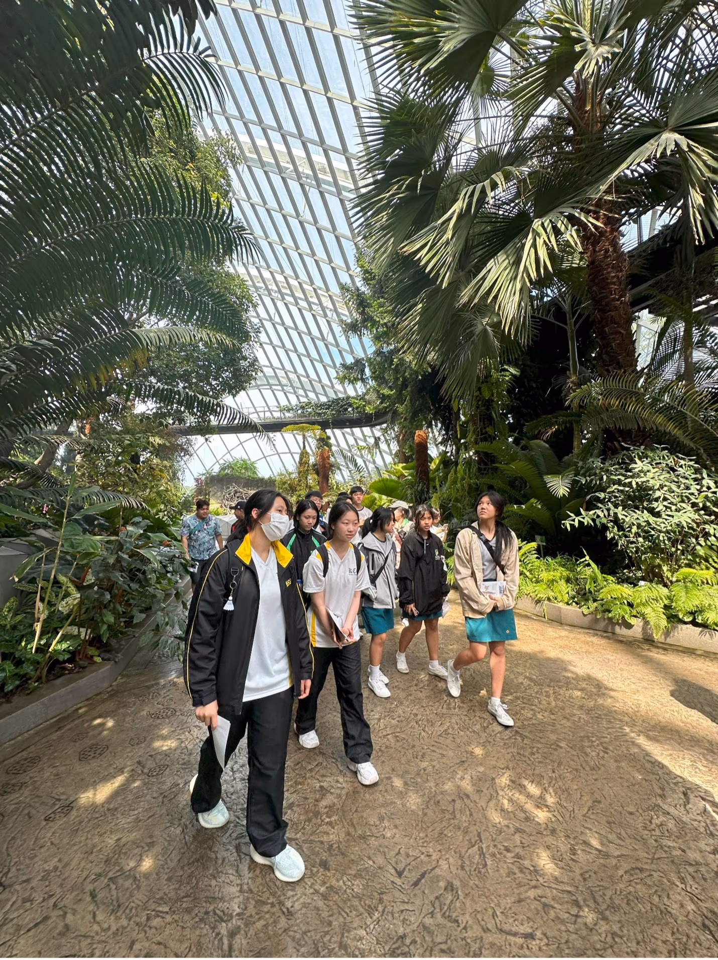 A group of young people walk along a path inside a large glass-roofed greenhouse filled with tall palm trees.