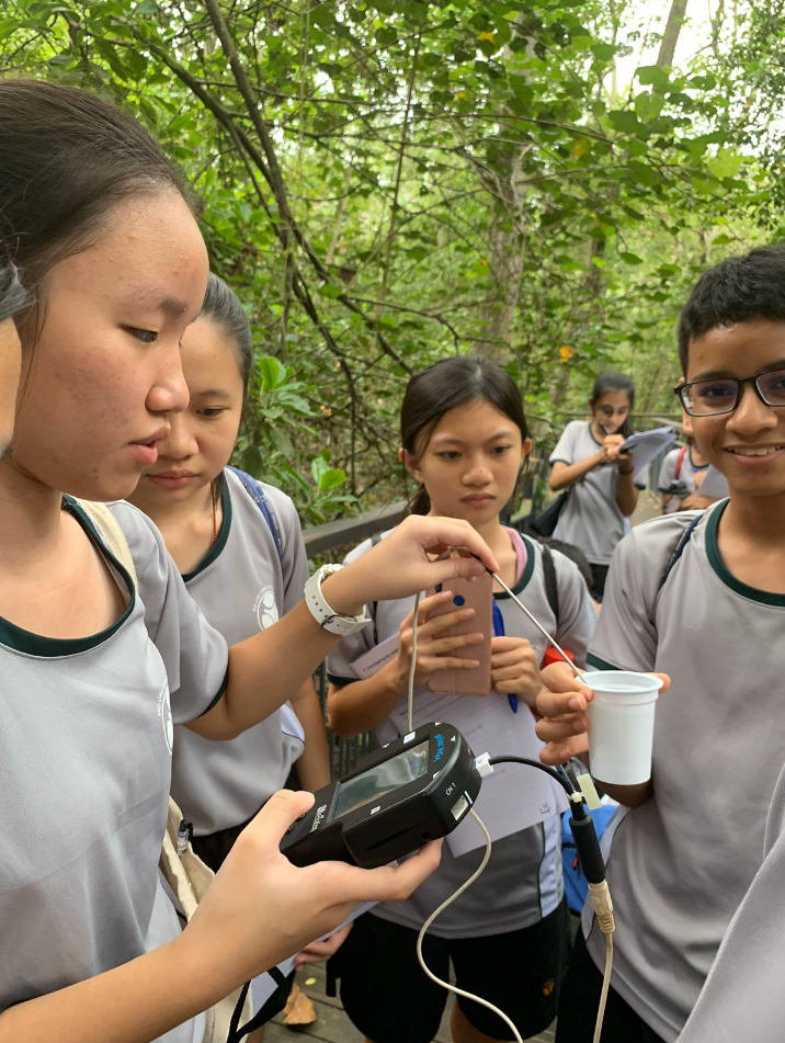 Students in grey uniforms examine a handheld electronic device with a probe outdoors in a wooded area.