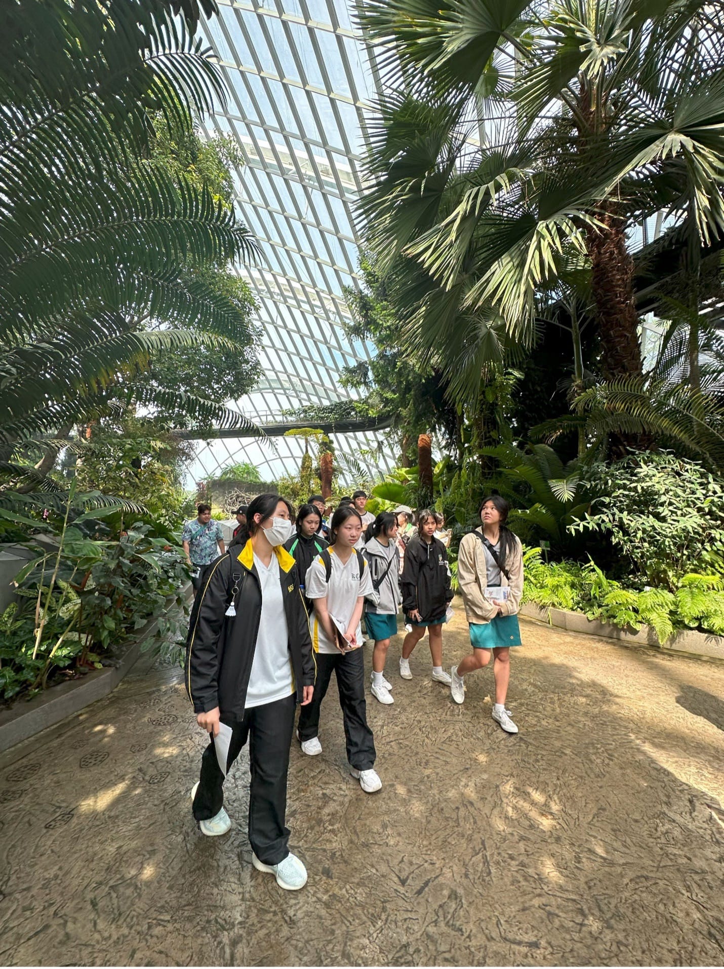 A group of young people walk along a path inside a large glass-roofed greenhouse filled with tall palm trees.