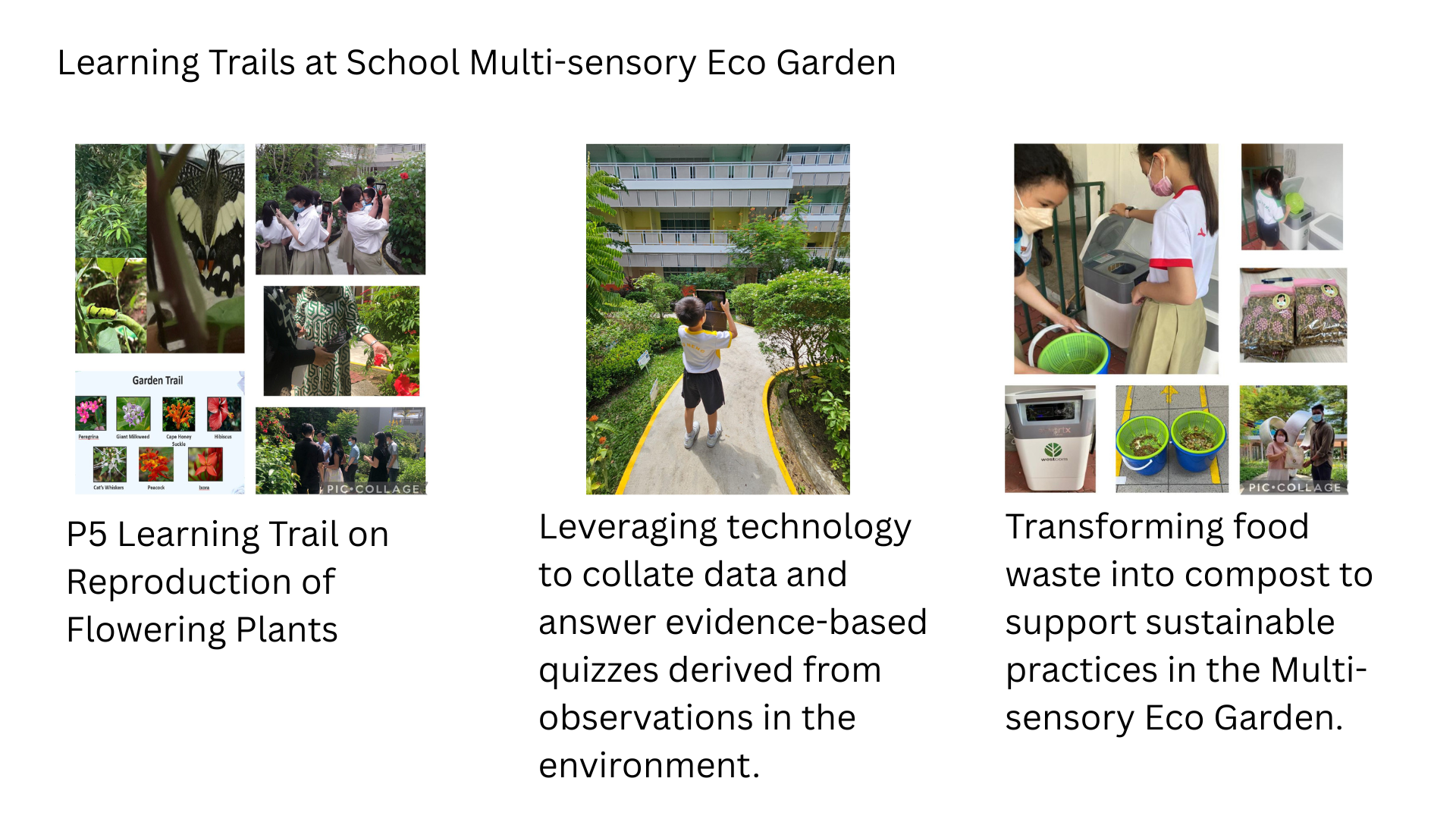 Photos showing school eco garden learning trails with student photos, garden trail charts, composting bins, and activity captions.