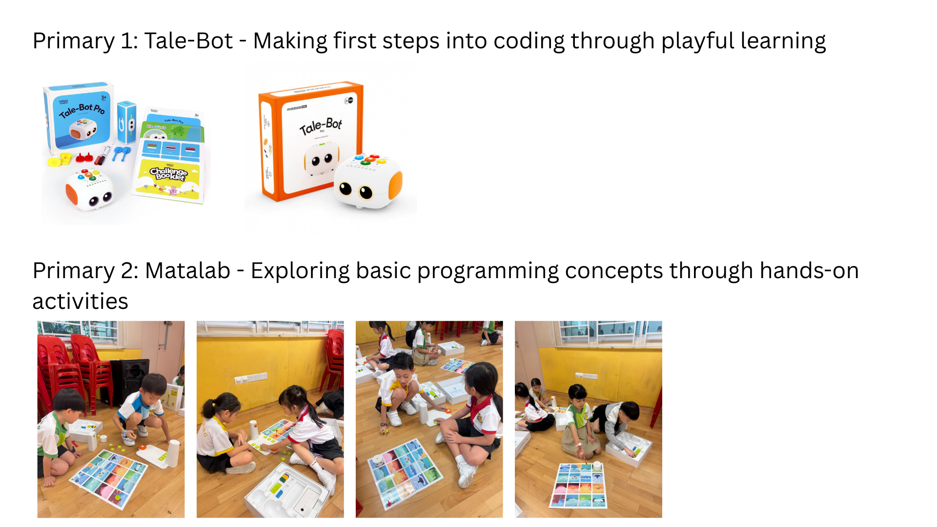 Students doing hands-on programming activities ICT ALP.