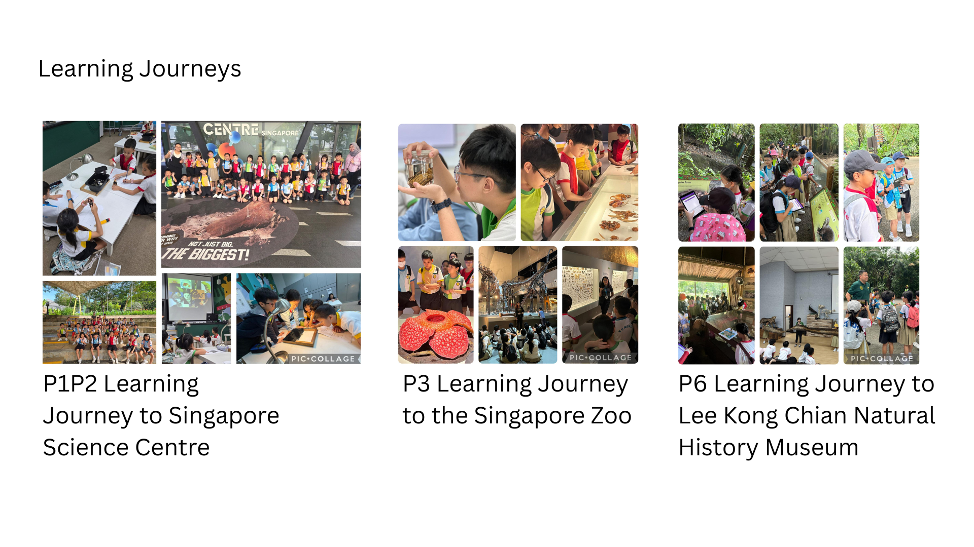 Three photo collages showing students on Learning Journeys to Singapore Science Centre, Zoo, and Natural History Museum.