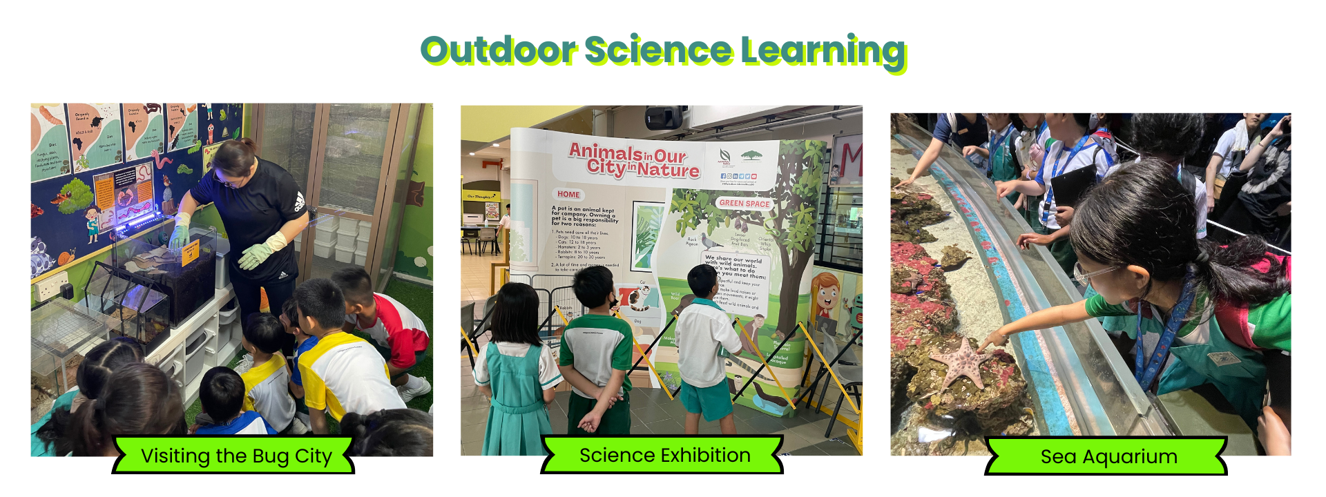 Three outdoor science learning scenes: children at Bug City, a nature exhibition, and touching a starfish at a sea aquarium.