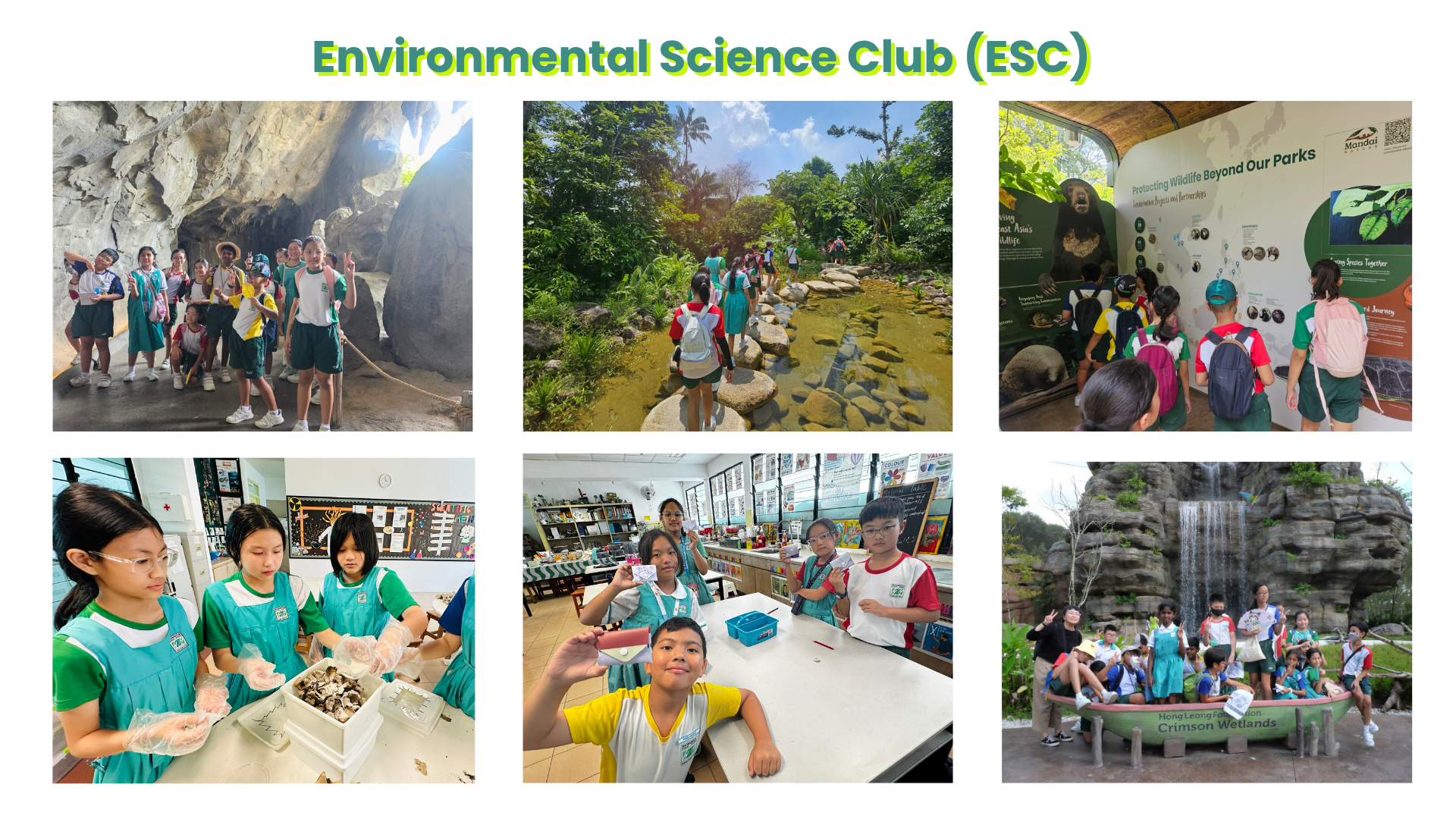 Six photos of Environmental Science Club students on nature trails, viewing exhibits, and doing hands-on classroom activities.