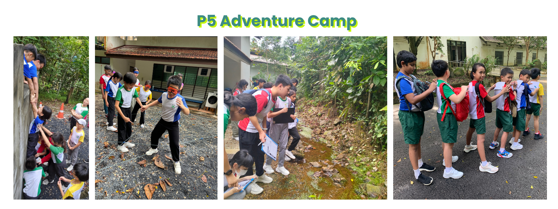 Four photos of Primary 5 students doing outdoor camp activities including climbing, blindfolded tasks, and nature exploration.