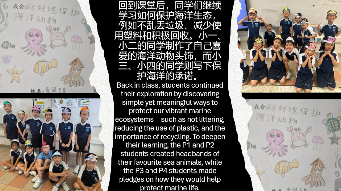 Students wearing handmade sea animal headbands pose in groups, alongside children's drawings of ocean creatures with Chinese text.