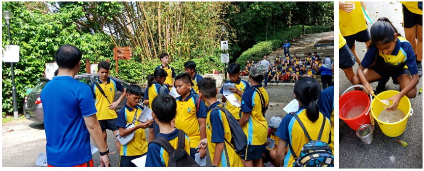 students in an outdoor area