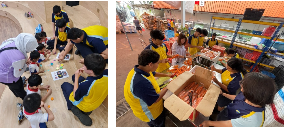 CCE activities