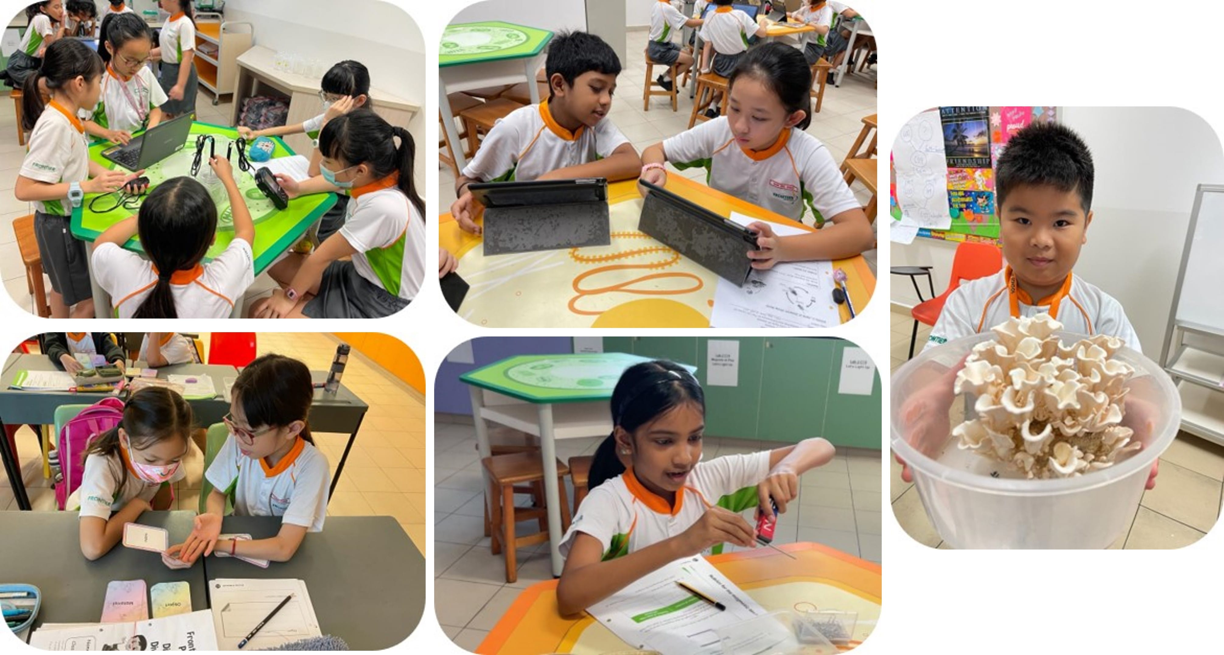 Five photos of school children in white uniforms doing classroom activities, including using tablets and holding a bucket of mushrooms.