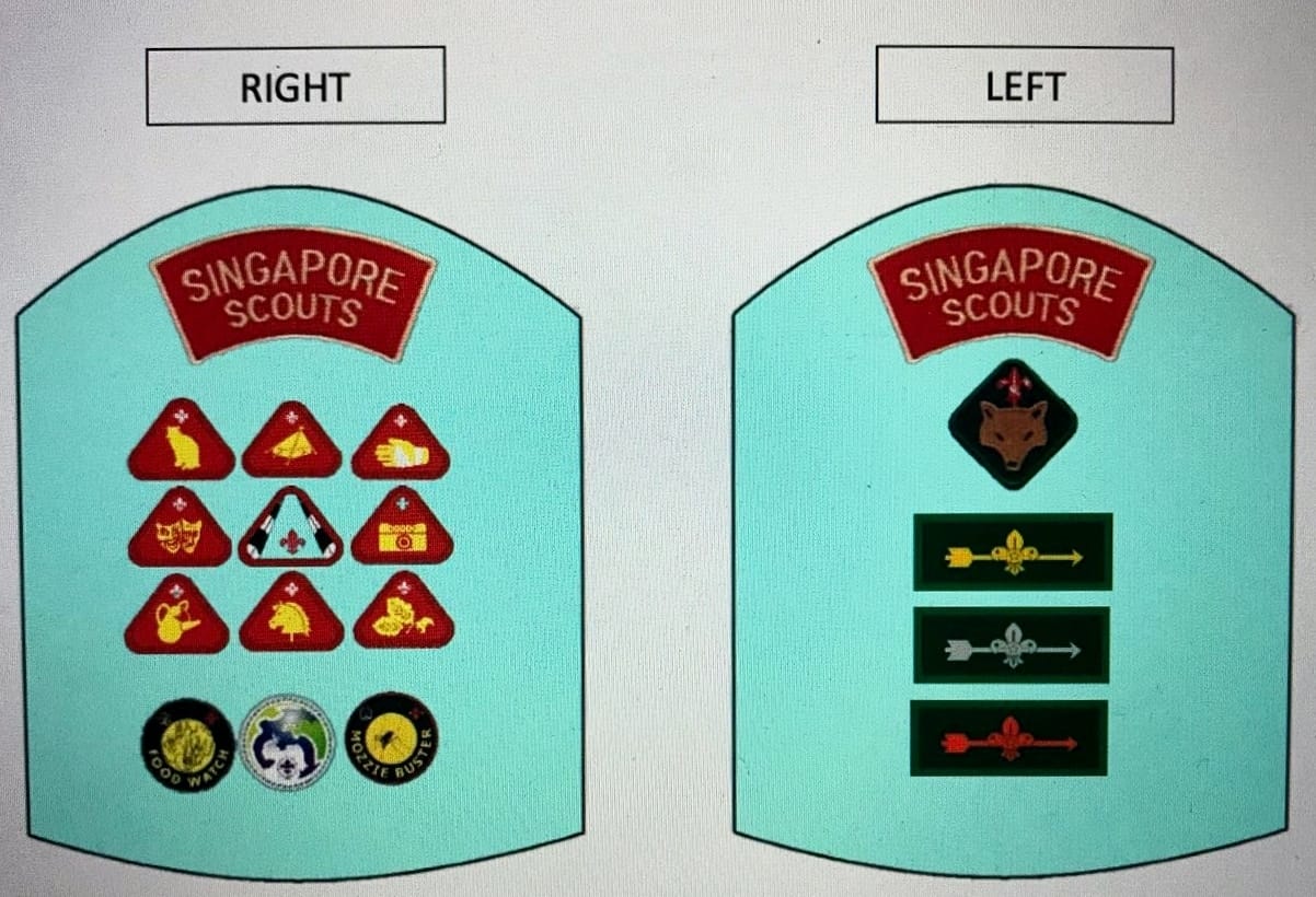 Diagram showing right and left sleeve badge layouts for Singapore Scouts uniform with merit badges and rank patches.