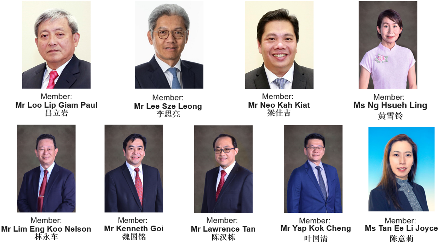Nine professional headshots of named members including men and women, with names in English and Chinese below each photo.