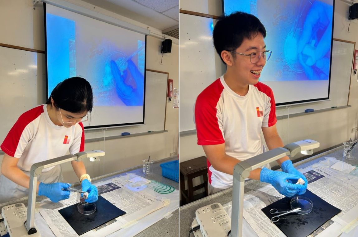 Two students in red and white shirts wearing blue gloves work at a lab bench with dissection tools in a classroom.