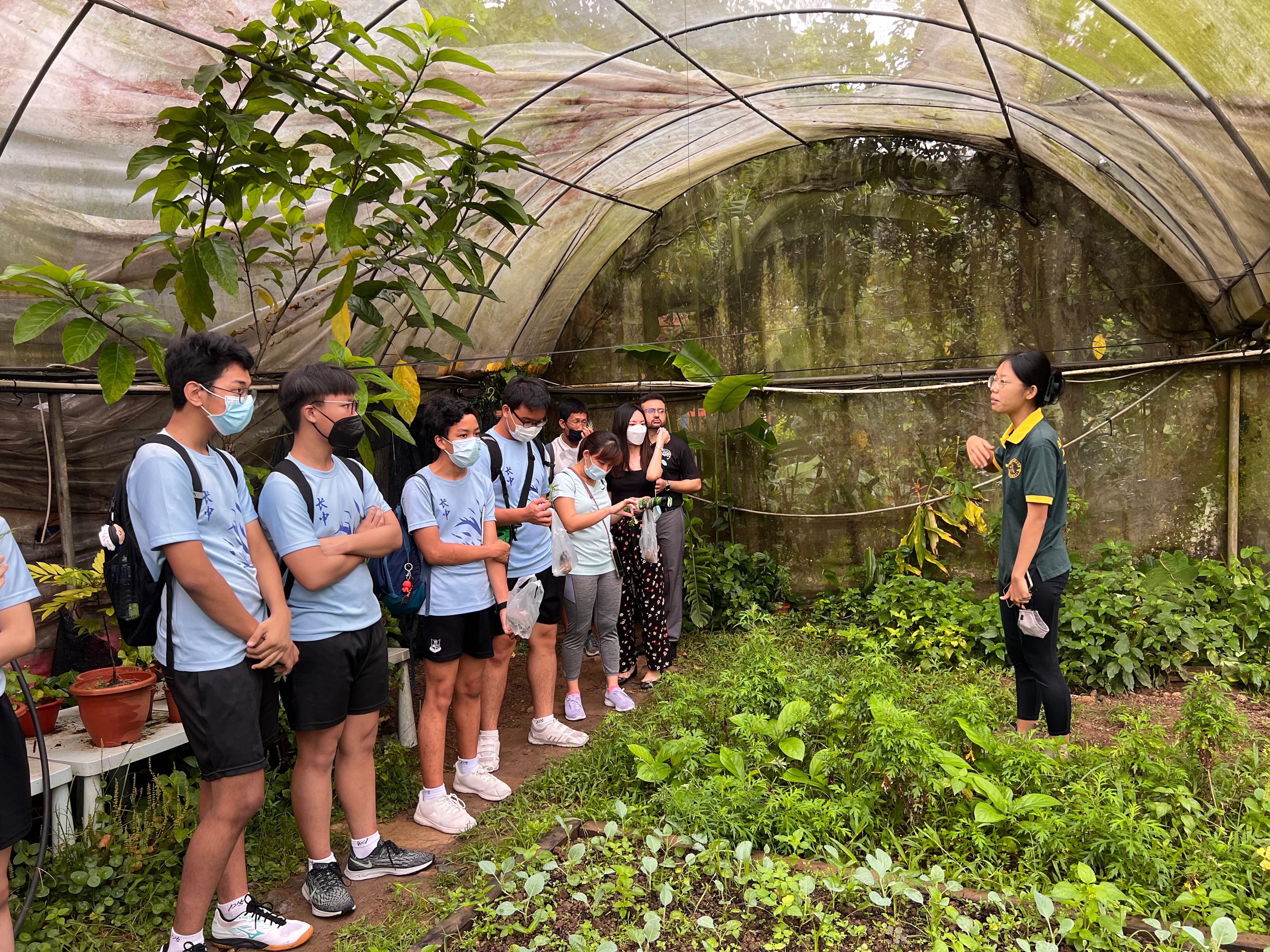 A guide in a green shirt points at plants while masked students in blue shirts listen inside a greenhouse.