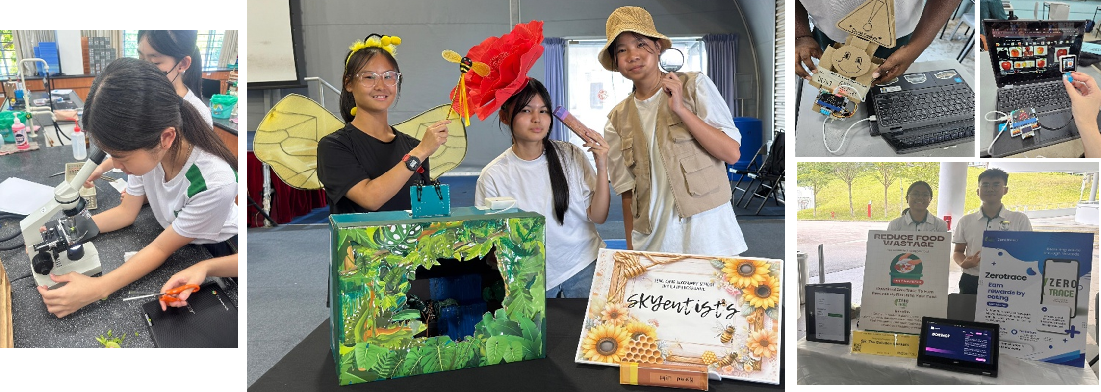 Collage of students doing lab work, showing a bee-themed display, coding with a laptop, and a project booth.