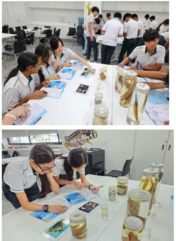 Students in white uniforms examine specimen jars and educational worksheets on tables in a science classroom.