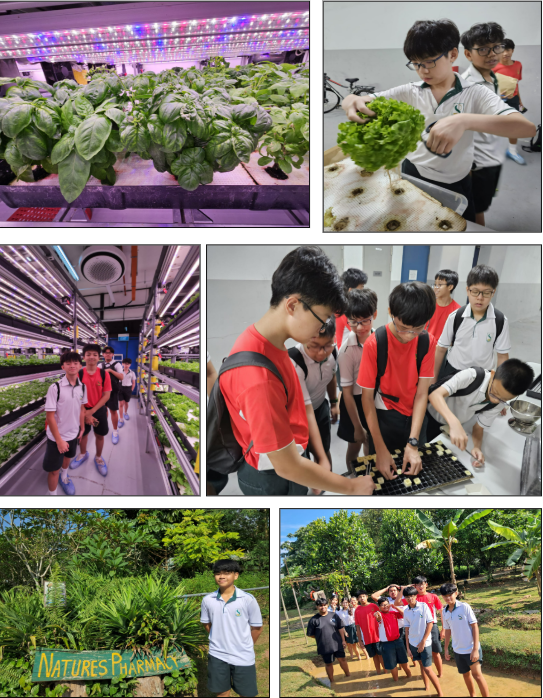 Students explore an indoor hydroponic farm and outdoor gardens, handling plants and working hands-on with growing trays.