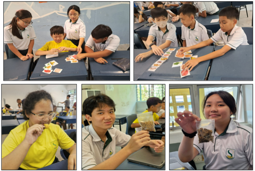 Students in school uniforms sort picture cards at desks while others hold small bags of specimens in a classroom.