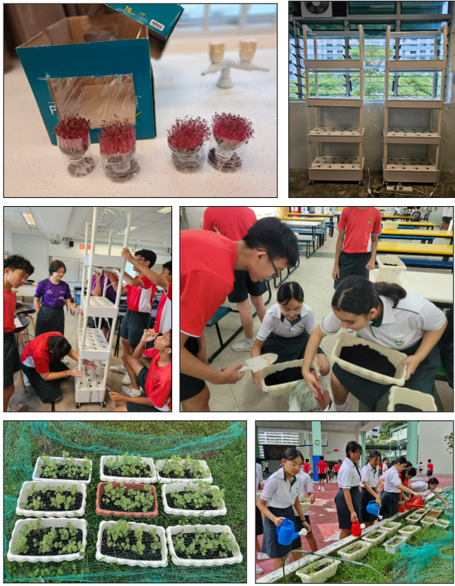 Students tending to hydroponic plants, assembling growing racks, and watering seedlings in trays outdoors and indoors.