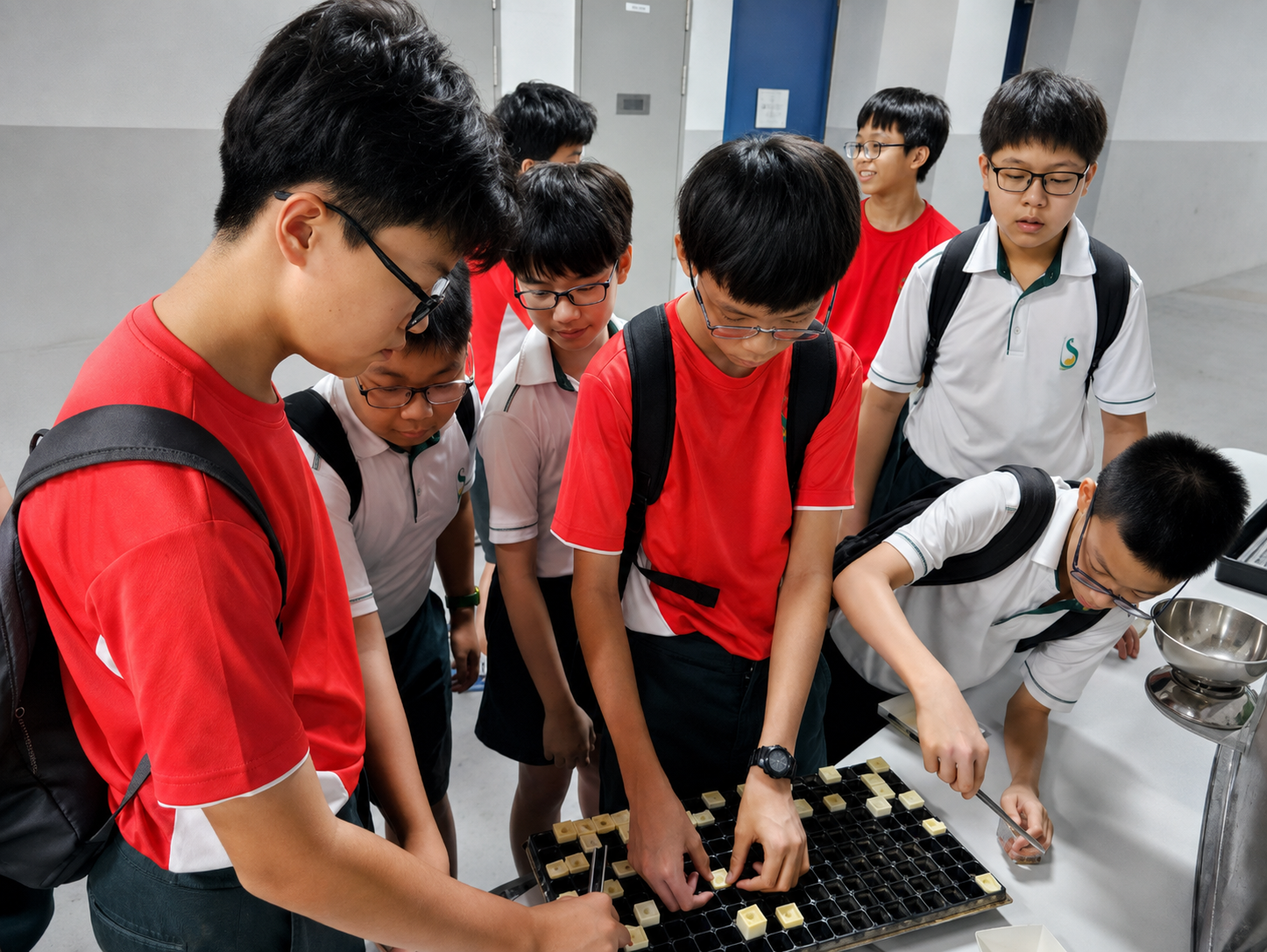 Student during ALP Programme image