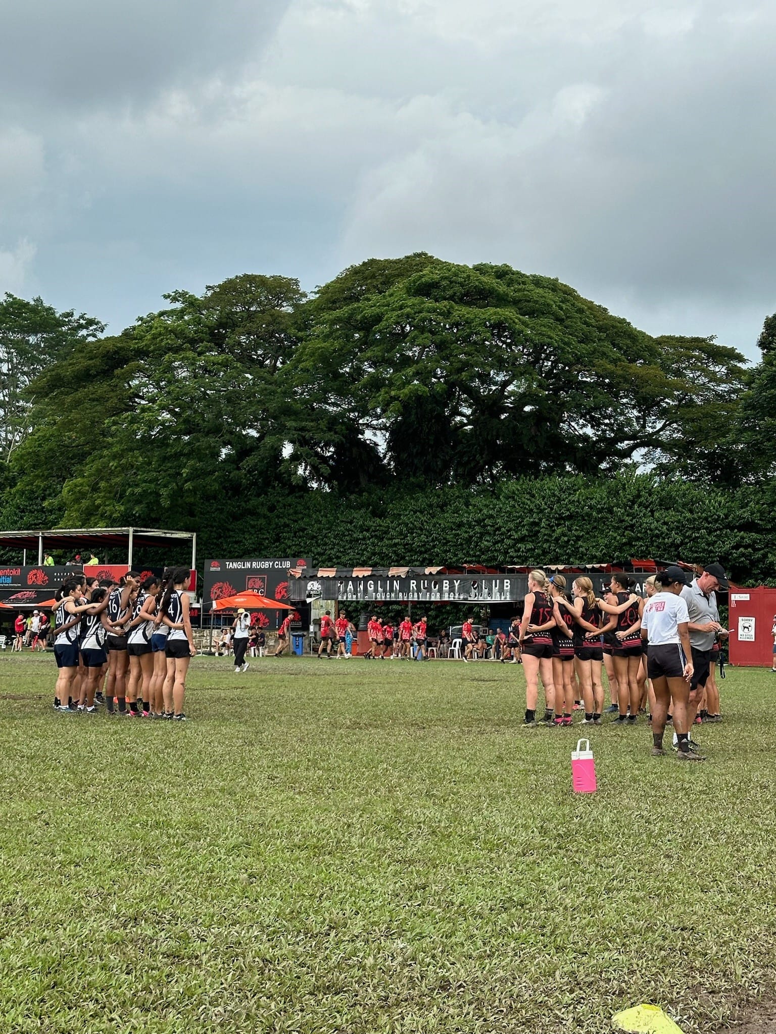 Two girls' touch rugby teams huddle separately on a grass field at Tanglin Rugby Club, with a large rain tree and the club's signage visible in the background under a cloudy sky.