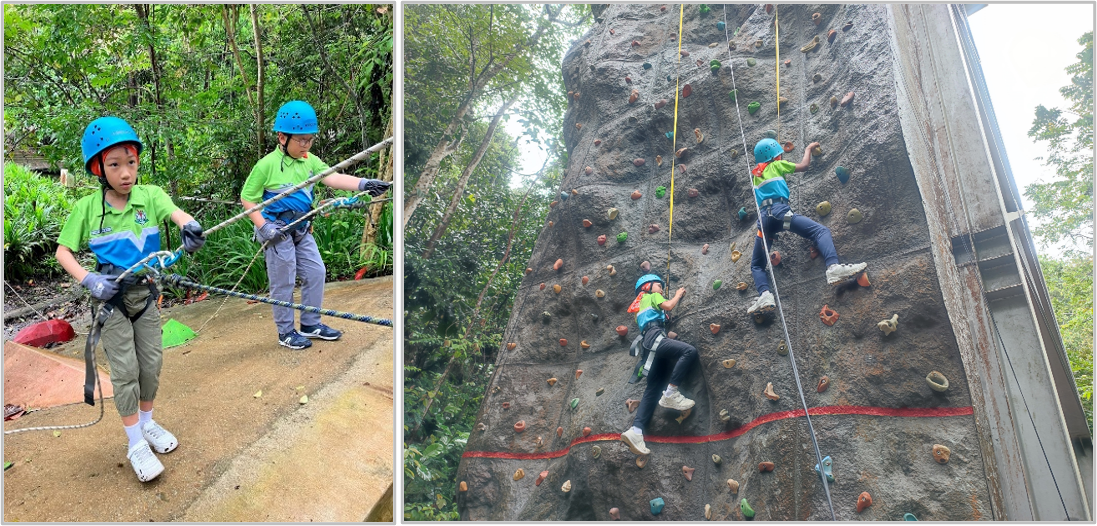 Two children in blue helmets handle ropes on the ground while two others climb a tall outdoor rock wall with harnesses.