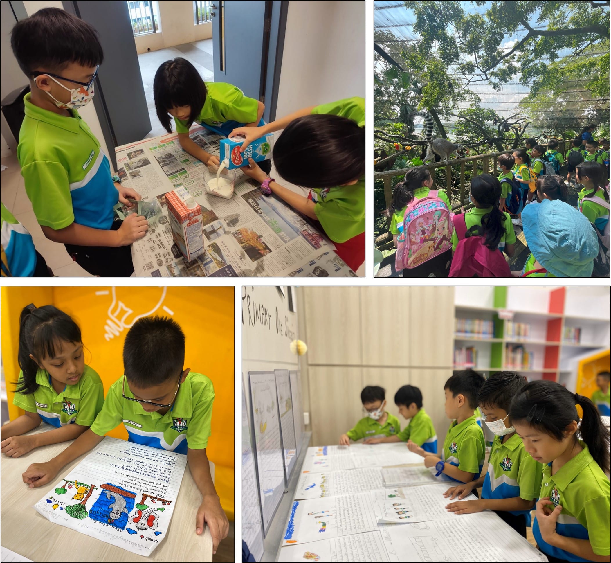 Four scenes of children in green uniforms doing activities: pouring liquid, visiting a zoo, reading, and reviewing papers.