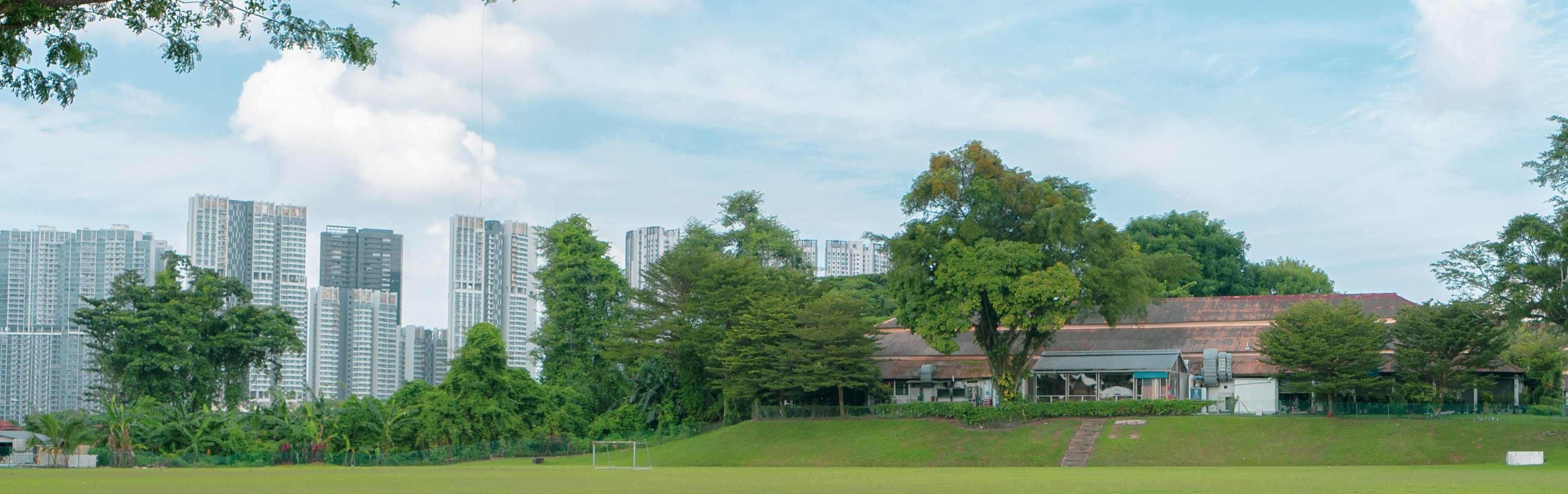 A plot of State land infront of a heritage building at Dempsey
