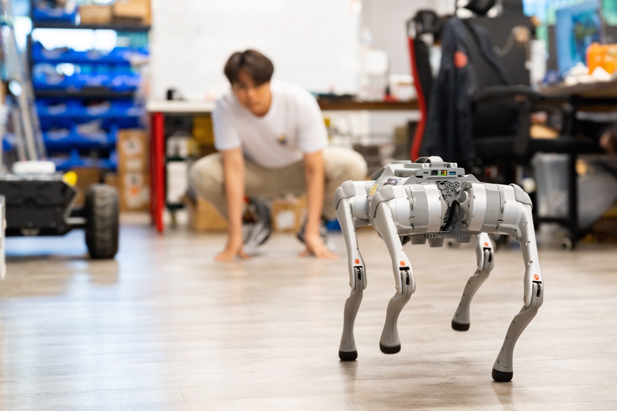 A robotic dog in laboratory