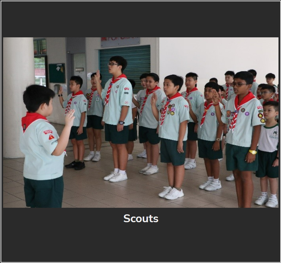 Scouts