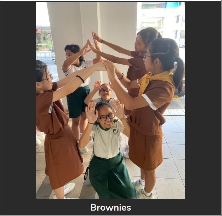 Brownies