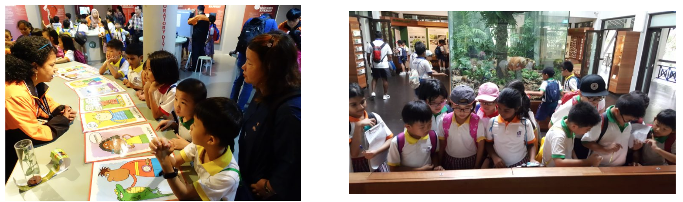 Young students on a field trip, left at a learning table with colorful cards, right gathered around a display in a nature exhibit.