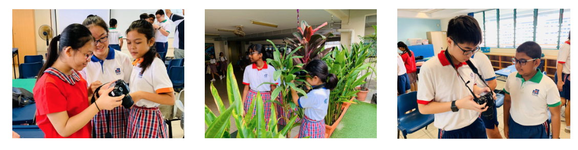 Three photos of school students in uniforms using cameras indoors and examining plants in a corridor.