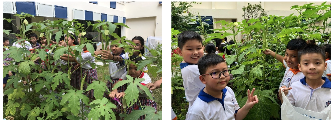 Young children in school uniforms smile and interact with tall green plants in an outdoor school garden.