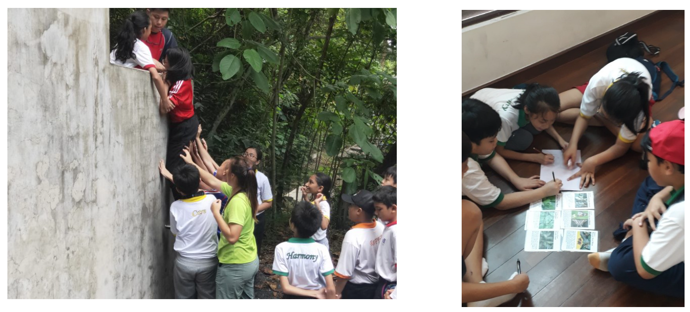 Children outdoors examining a wall near trees, and indoors sitting on a floor writing on papers with picture cards.