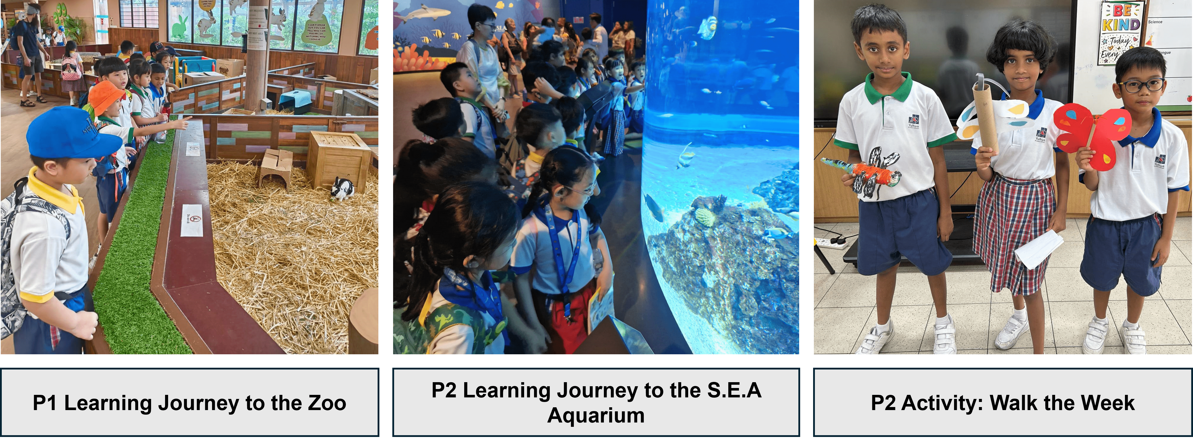 Three school trip photos: kids at a zoo animal pen, students at an aquarium tank, and two boys holding craft projects.