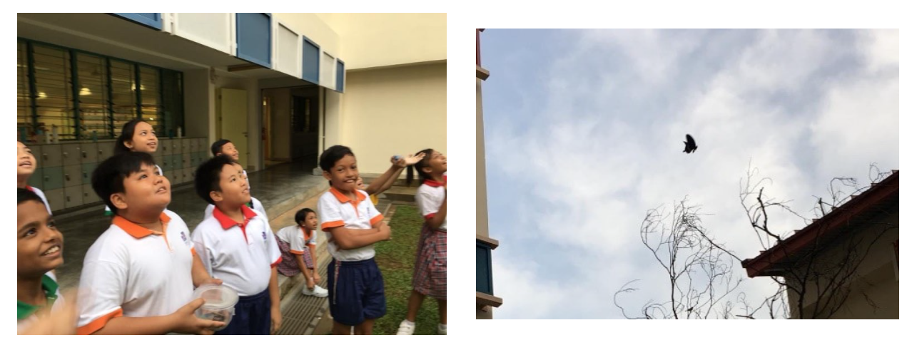 Children in school uniforms look up at the sky during an outdoor lesson.