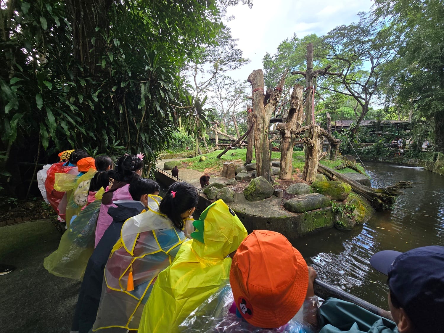 The children had a walkabout around the zoo and said hello to some orang-utans!