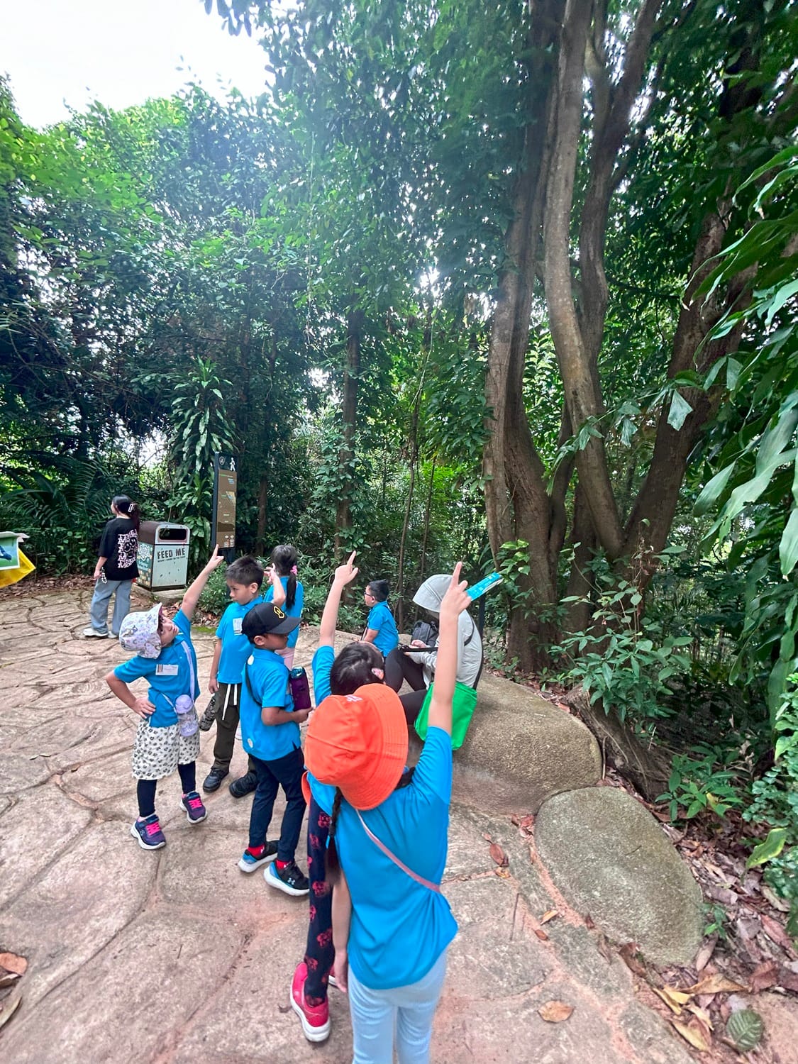 They also learnt about some of the trees they saw, such as the Nibong Palm that has black spikes on its trunk and the Tempinis tree, which gave the town its name, Tampines, due to its abundance in the area in the past.