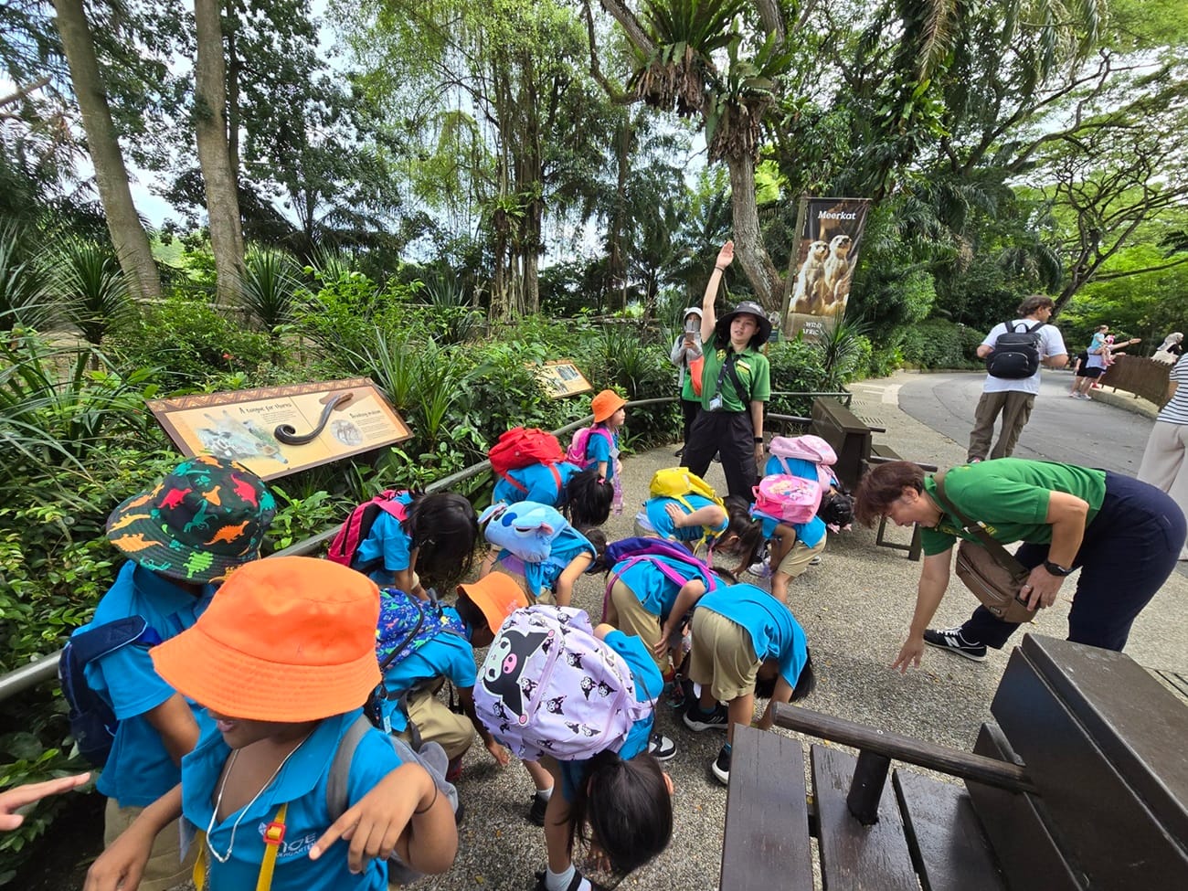 The children stretched their arms like the giraffe’s tongue and bent down to pretend eating like a giraffe!