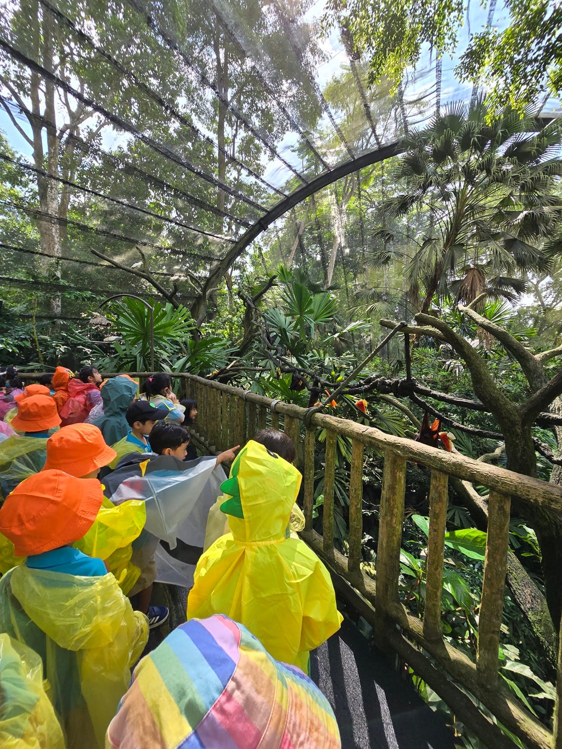 The children spotted some bats sleeping upside down in the day.