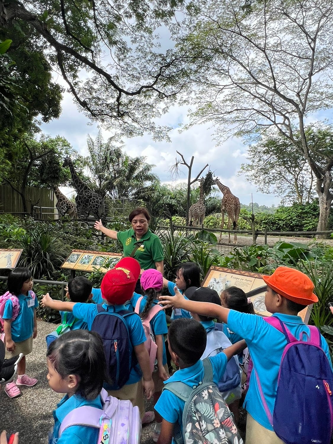 Do you know that a giraffe’s tongue is as long as the length of your arm?