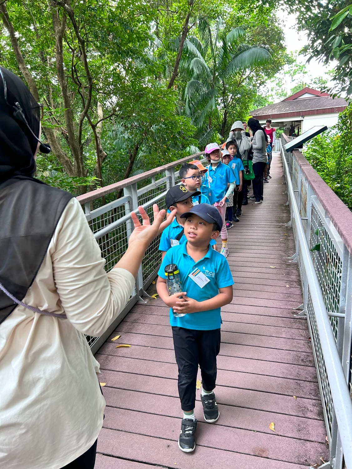 Aligned with their Hi-Light lessons on Precious Rainforests, K2 children embarked on a guided walking trail at Imbiah Trail, Sentosa, to learn and observe the diverse flora and fauna in a rainforest. During the walk, they spotted animals such as a hornbill, squirrels and various insects.